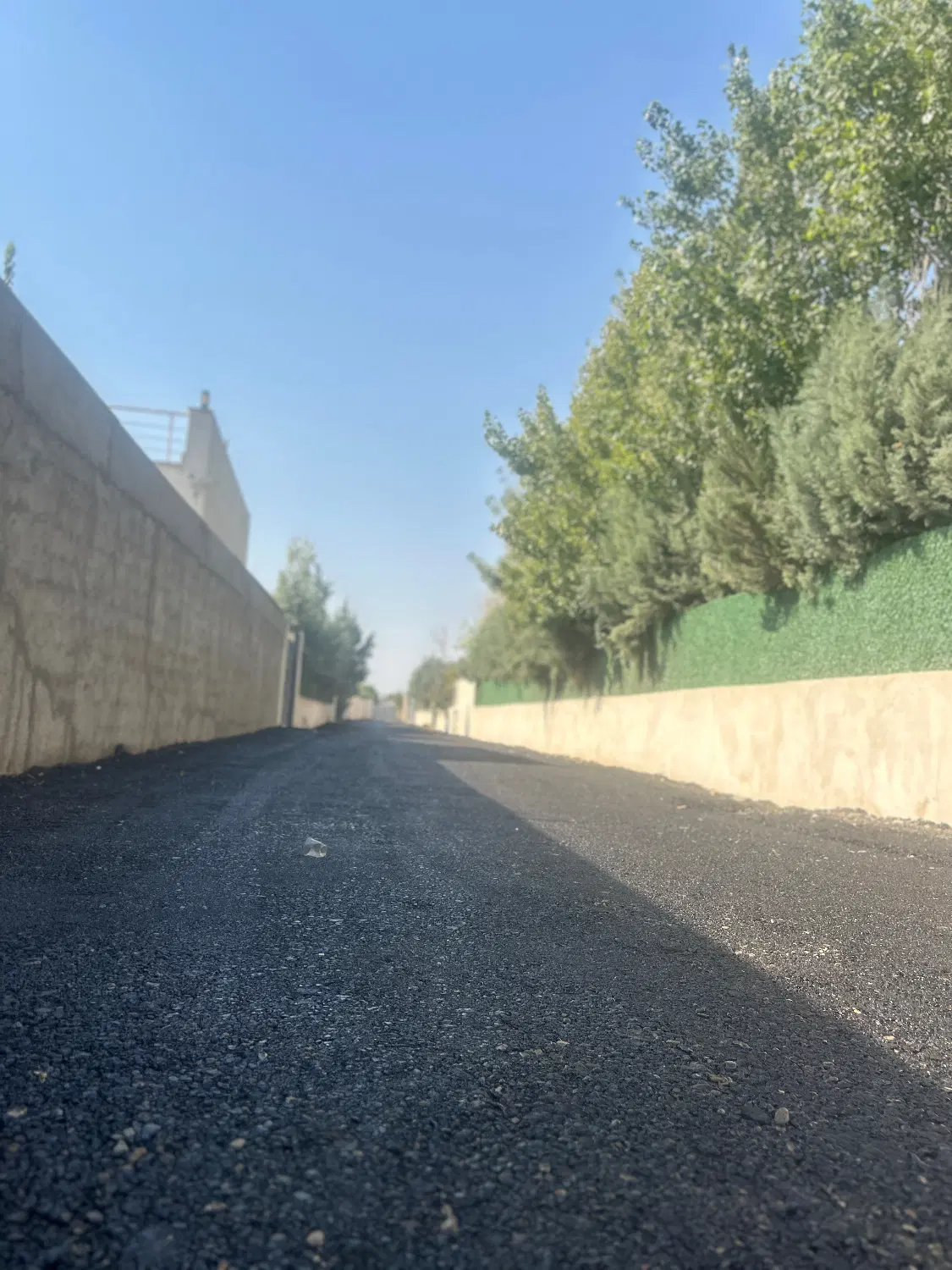 تصویر 11