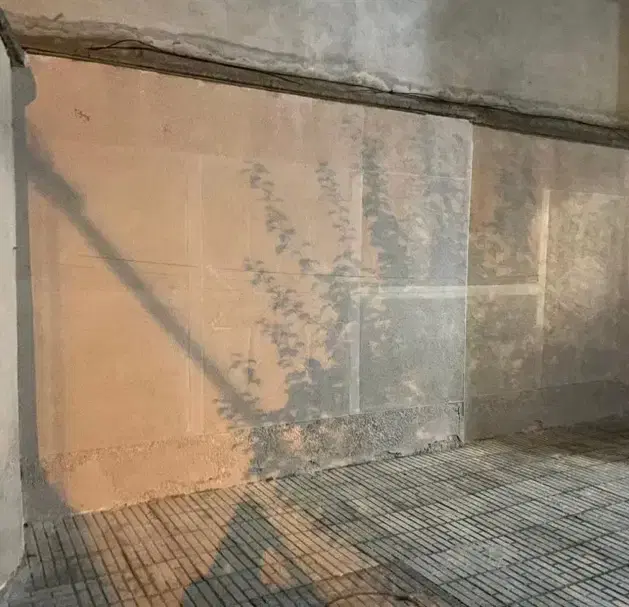 تصویر 12