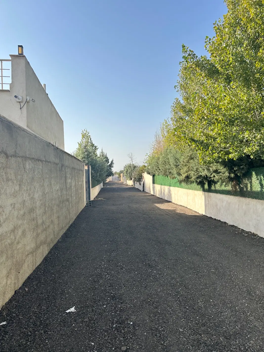 تصویر 13