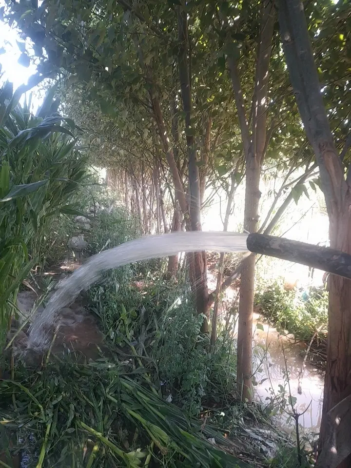 تصویر 2