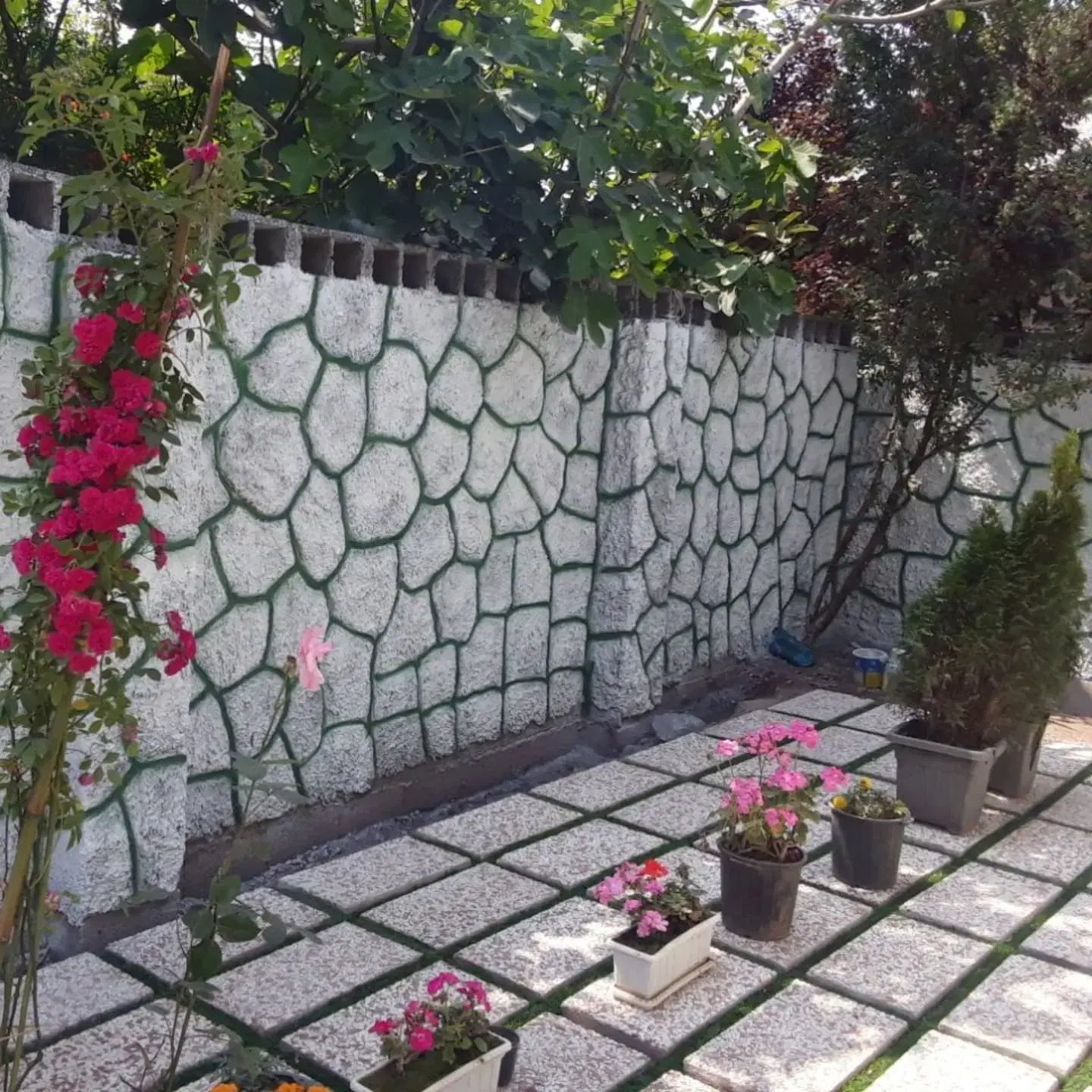 تصویر 3