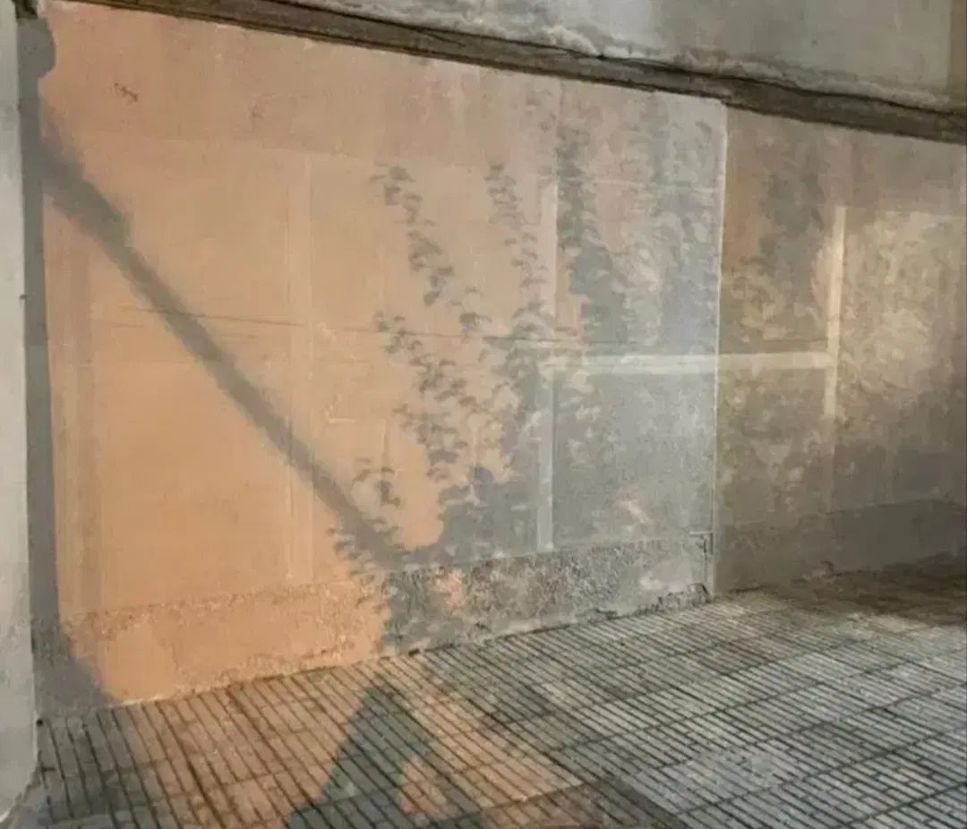 تصویر 6
